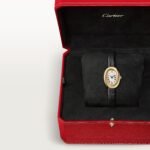 Baignoire watch CRWGBA0041 - Image 7